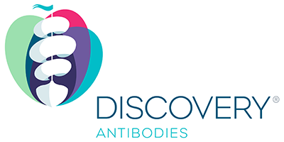 Discovery Antibodies